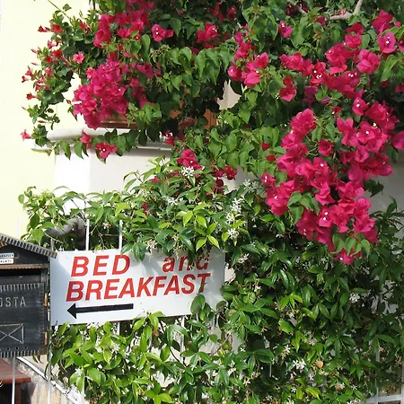 Nonna Pina Bed & Breakfast Torre Canne